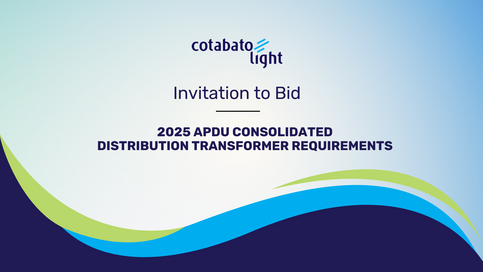2025 APDU CONSOLIDATED DISTRIBUTION TRANSFORMER REQUIREMENTS 