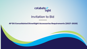 AP DU Consolidated Streetlight Accessories Requirements (2027-2028)