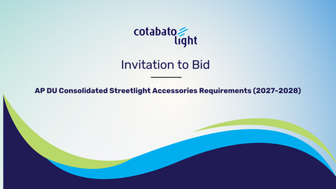 AP DU Consolidated Streetlight Accessories Requirements (2027-2028)